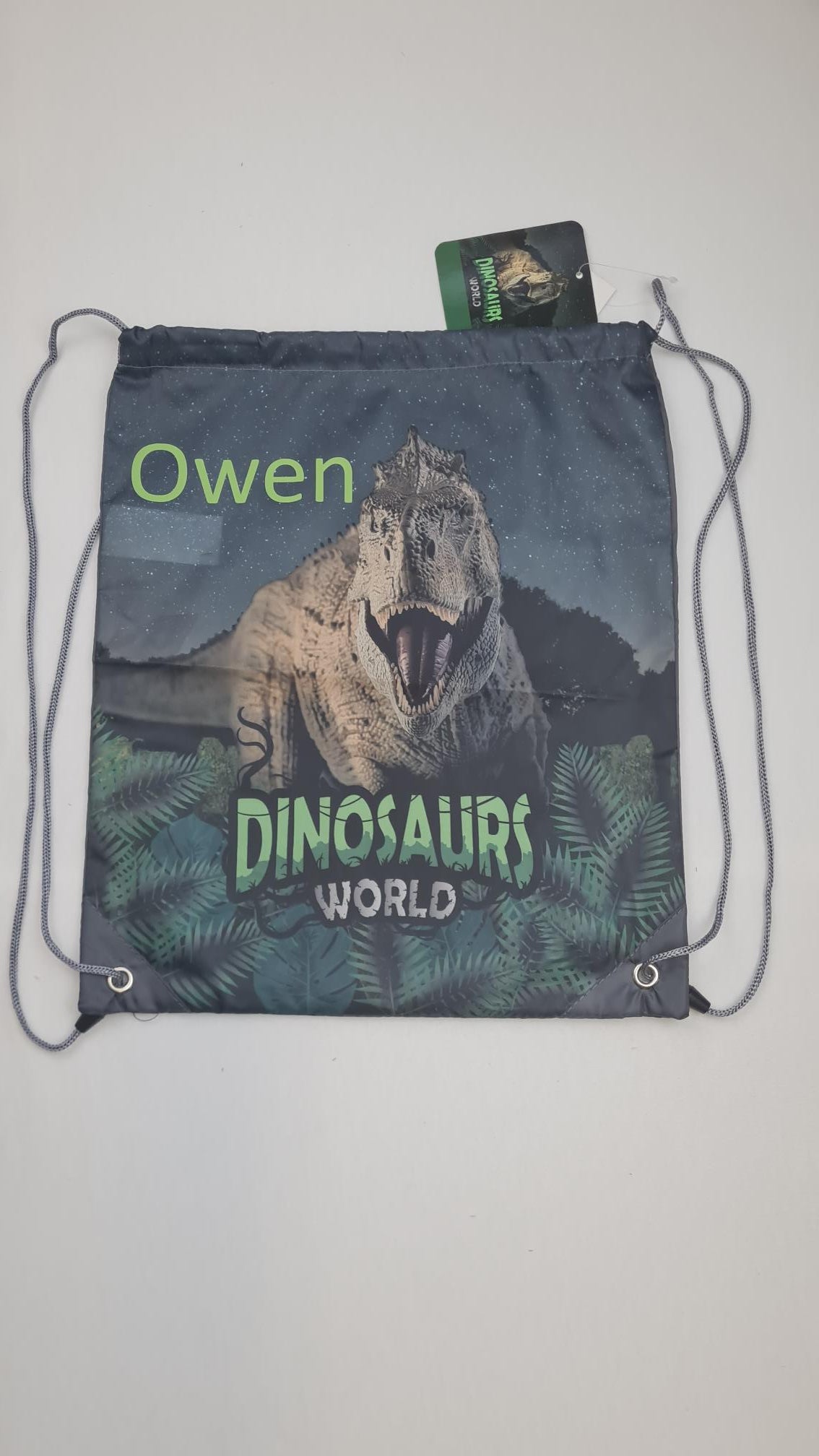 Sac de gym | Sac à chaussures Enfant 38cm | Dinosaur World