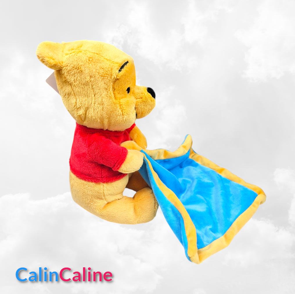 Doudou Peluche Winnie Cyan 25cm | Mouchoir Personnalisé